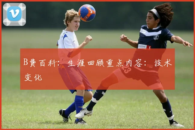 B费百科:生涯回顾重点内容:技术变化